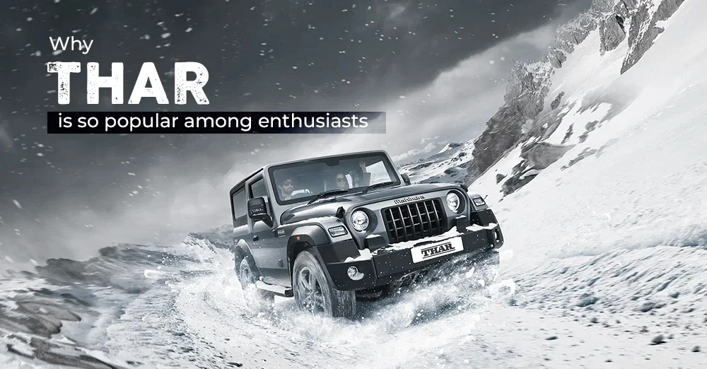 Why Thar is So Popular Among Enthusiasts
