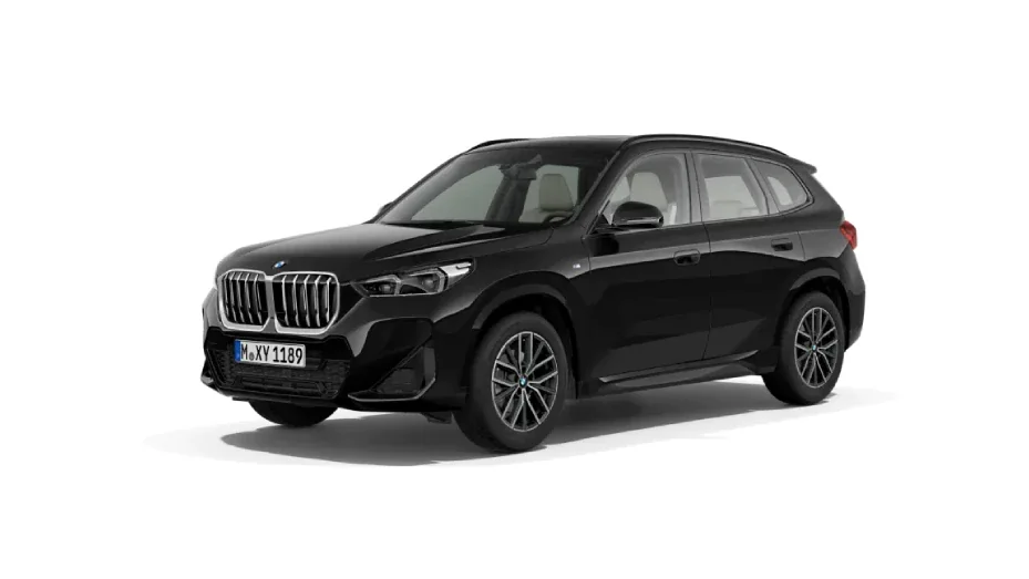 Black Sapphire (Metallic)