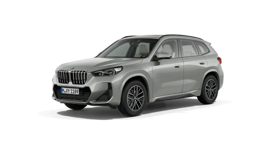 Space Silver (Metallic)