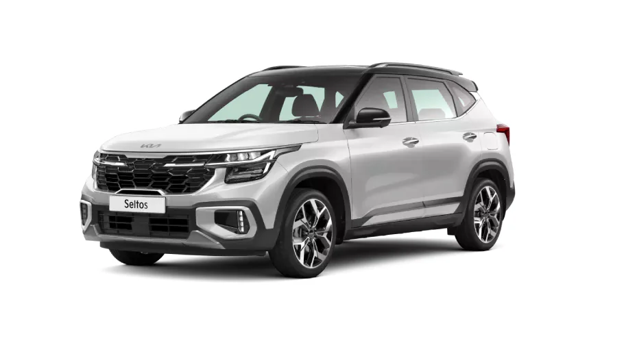 Glacier White Pearl + Aurora Black Pearl