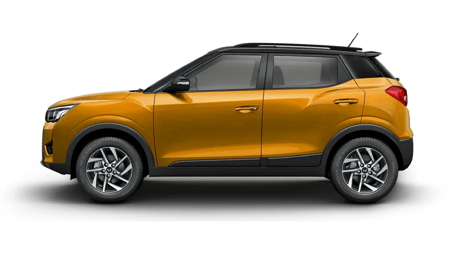 Dual Tone Bronze Blk