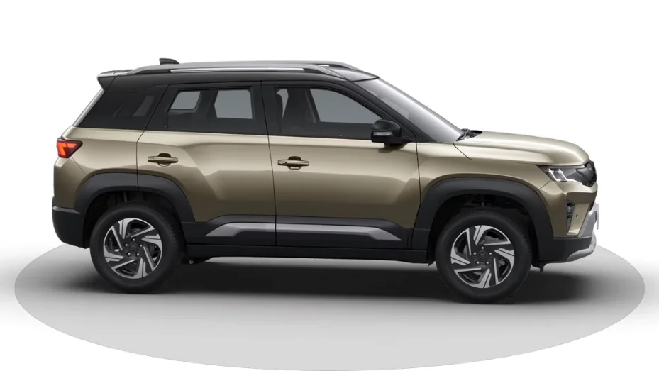 Lustrous Beige With Bluish Black Roof