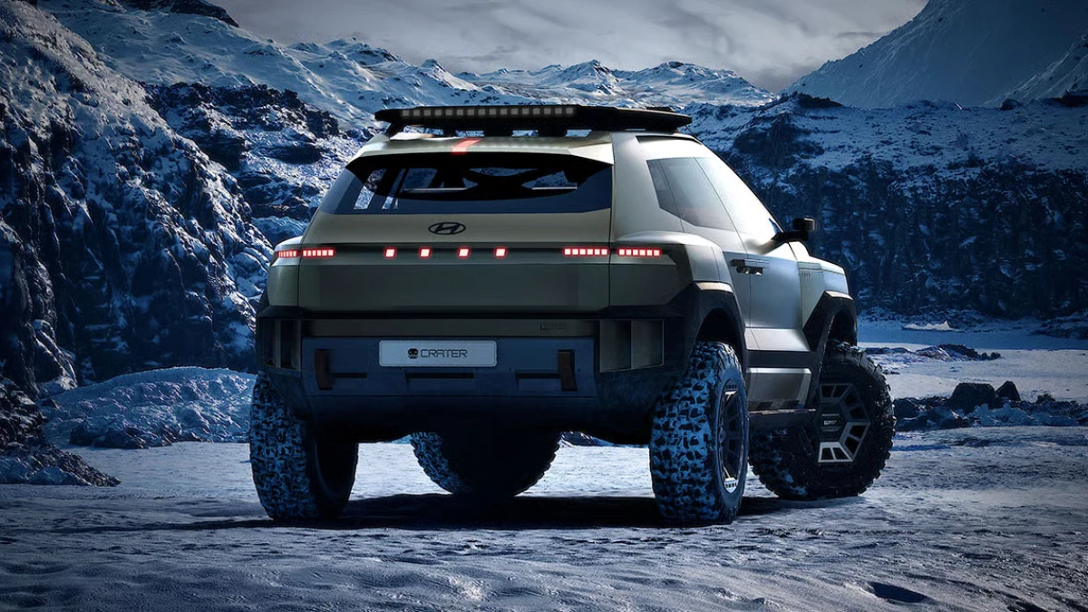 Carter off-road rear